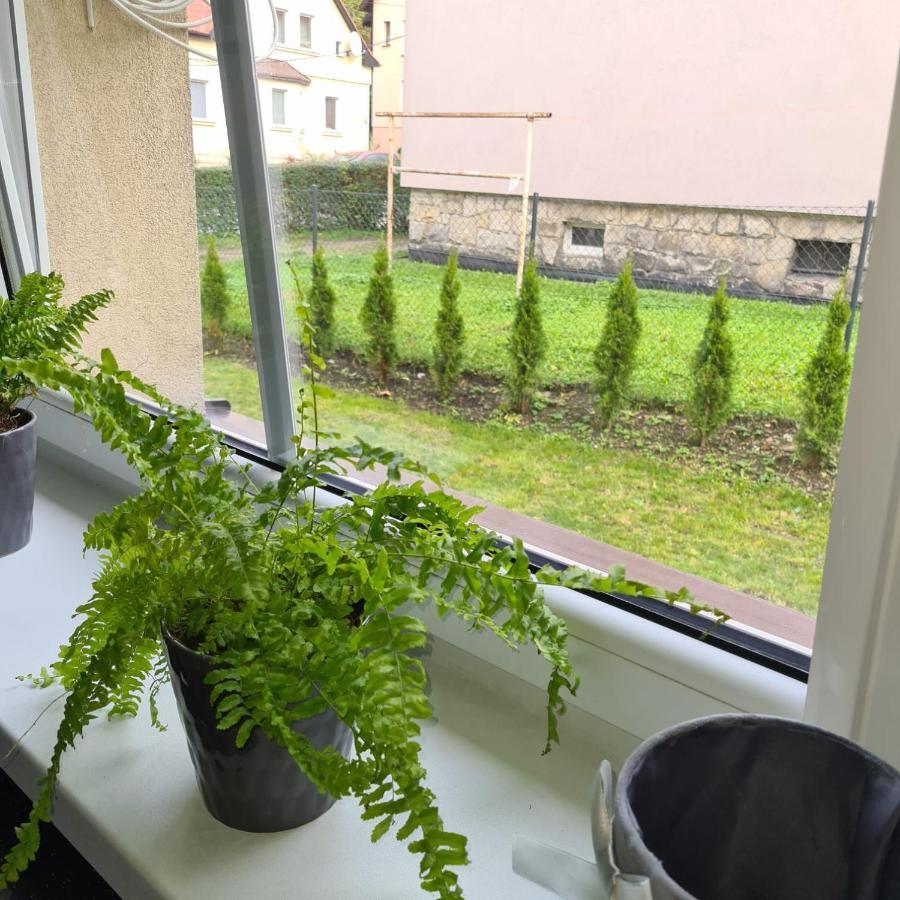 Apartament Przy Rondzie Kłodzko Buitenkant foto